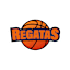 Regatas San Nicolas logo