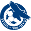 Ironi Nesher logo