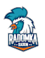 Radomka Radom (W)