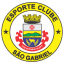 São Gabriel logo
