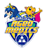 Saitama Ageo Medics (W)