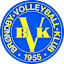 Brondby VK (W)