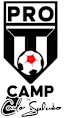 Pro Training Camp logo