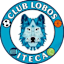 Lobos ITECA logo