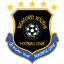 Wexford Youths team logo