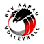BTV Aarau (W)