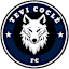 Tevi Cocle FC (W)