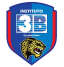 Instituto 3B (W) logo