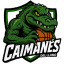 Caimanes