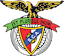 SC Angrense team logo