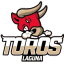 Toros Laguna