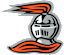 Heidelberg (W) logo