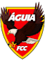 Águia de Cumaru