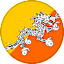 Bhutan logo