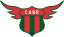 From team logo