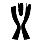 Superpuchar, Włochy