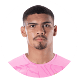 Luiz Júnior