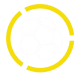 Primera División Logo