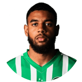 Willem Geubbels