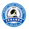 نهضة الزمامرة logo