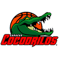 Cocodrilos De Caracas