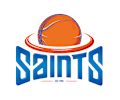 Wellington Saints