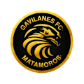 Gavilanes FC Matamoros