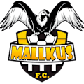 Mallkus FC Palacio Tambo