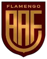 Flamengo/Sp Youth
