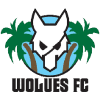 Wolues FC