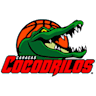Cocodrilos De Caracas