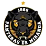 Panteras De Miranda