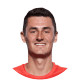 Bernard Tomic